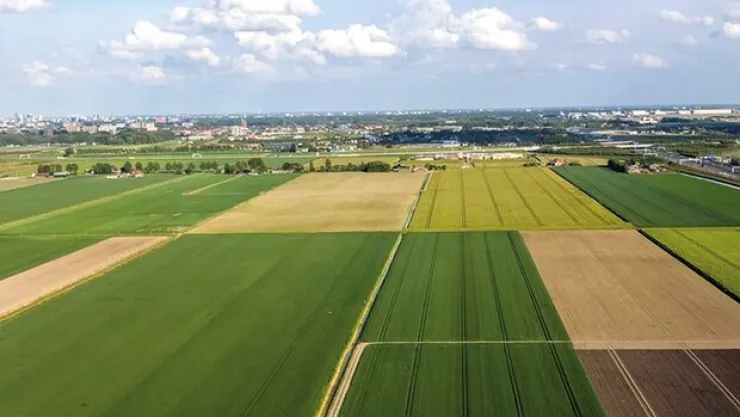 İmar planına kamu ayarı