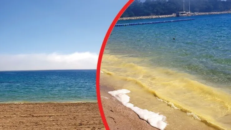 Kemer Sahili Sarıya Boyandı