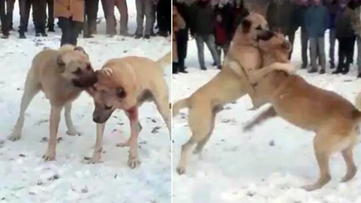 Konya'daki Skandalda Ceza Yağdı