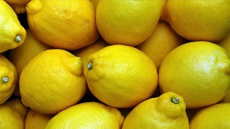 Limon krizi bir gün sürdü: İhracat yasağı kaldırıldı