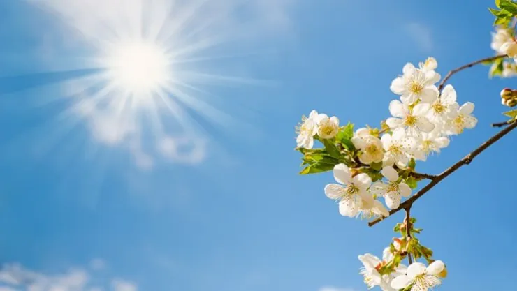 Meteoroloji'den Müjde