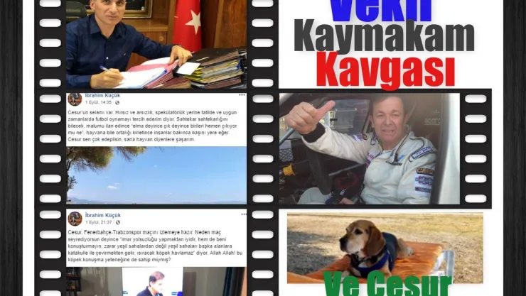 Nazilli'deki Vekil-Kaymakam Kavgasına Köpek de Karıştı