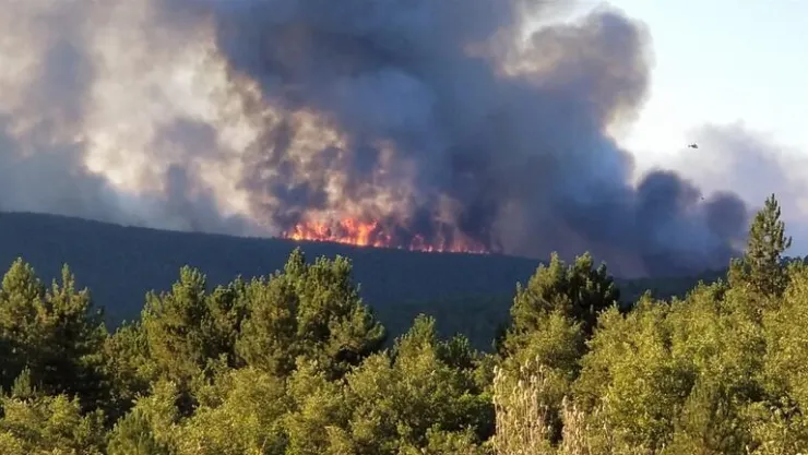 Orman Yangınları Birbirini Kovalıyor