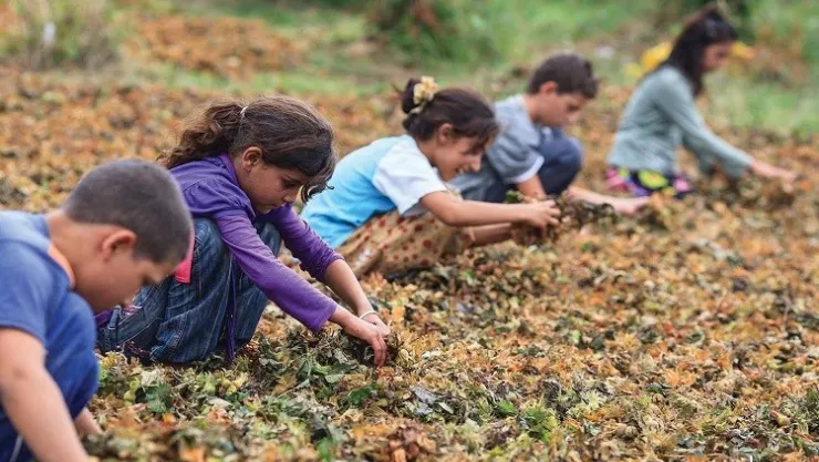 Palandöken: Çocuk İşçiliğini Bitirmekte Kararlıyız
