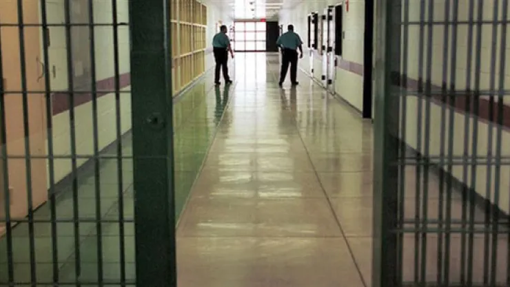 PKK'ya Kuryelik Yapan Avukat Tutuklandı