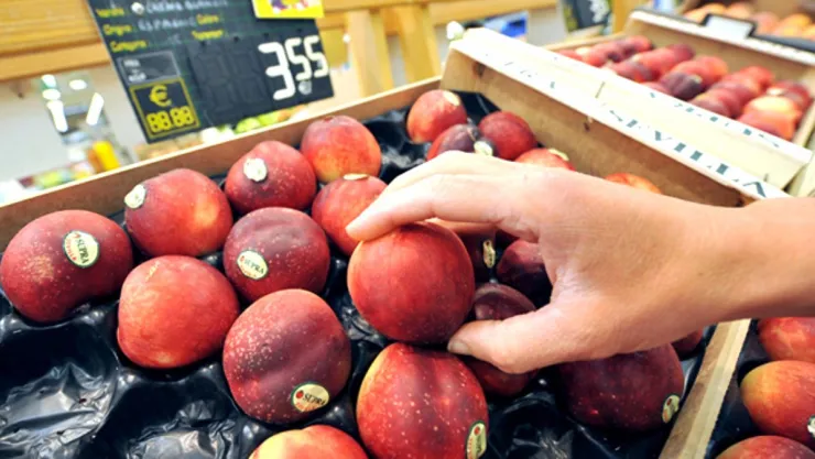 Rusya 20 Ton Nektarini İade Etti