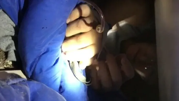 Sağlık Bakanı Koca, enkazdan kurtarılan İnci'yi paylaştı: