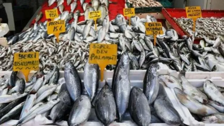 Sezonun son balıkları 15-30 TL arasında tezgahlarda