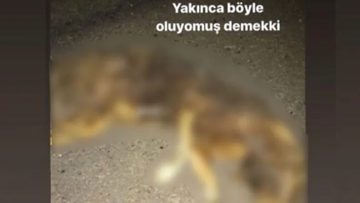 Sosyal Medya Manyağı Yakalandı