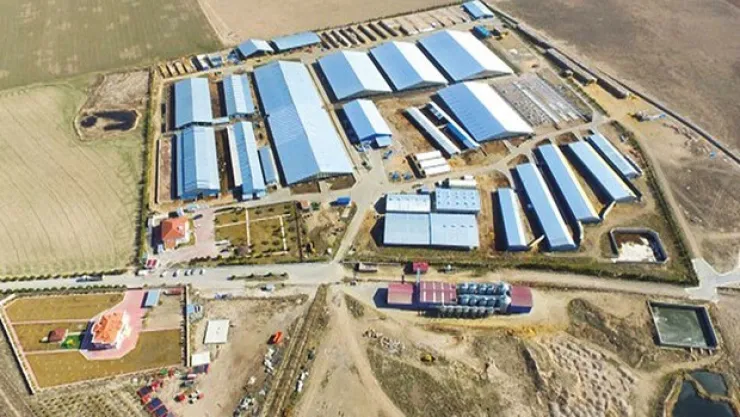 Süt bitti kavga başladı