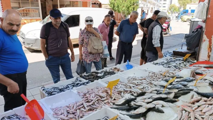 Tezgahlarda balık bolluğu