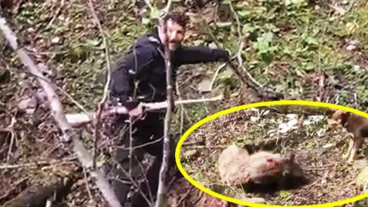 Vicdansızlar! Yavru ayıyı vurdular