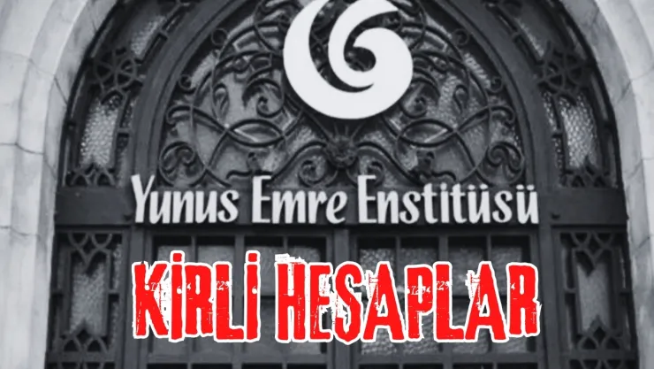 Yunus Emre Enstitüsü'ne Yönelik İddialarının Hedefi Kim ?