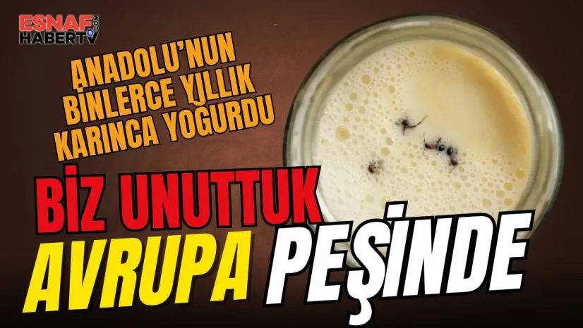 Biz Unuttuk...Michelin Yıldızlı Şefler 'Karınca Yoğurdu'nun Peşinde