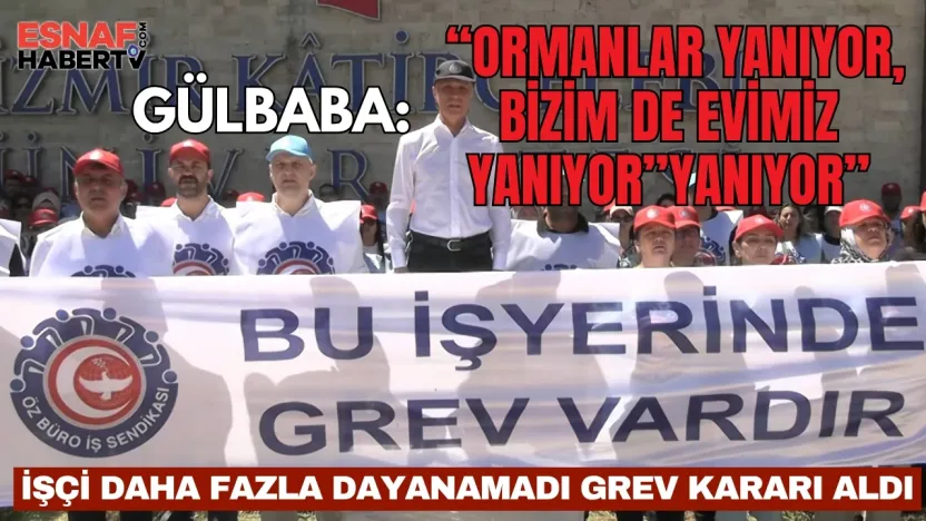 İlk Grev Kararı Öz Büro İş'den Geldi. 'Ormanlar Yanıyor, Bizim de Evimiz Yanıyor'
